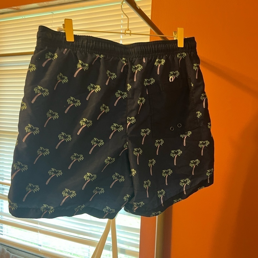 AE Swim Trunks - Picture 2 of 3